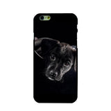 Black Cat & Dog iPhone Cover